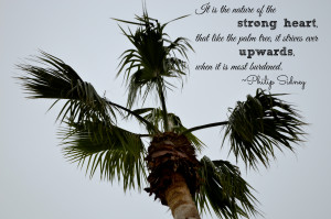 Tree Quotes Inspirational Quotes about palm trees,