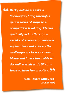 Dana Schaetter with Sunny (Whippet/Tervuren)