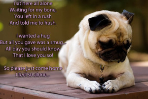Little Poem of a Lonely Pug: to my master