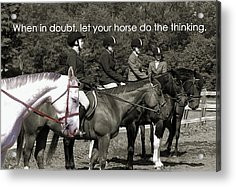 Horse Sense Quote Acrylic Print by JAMART Photography