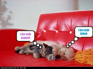 ... captions quotes adventures in mediocrity truly adorable symbiosis