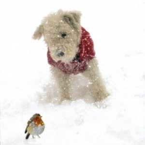 Scottie Dog Christmas...