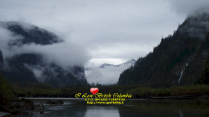 titolo foto love carpfishing