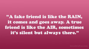 fake friend is like the RAIN, it comes and goes away. A true friend ...