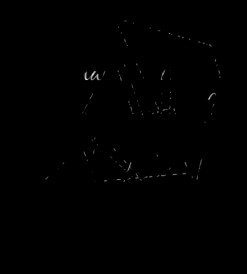 thumbnail of quotes A mother holds her sons hand for a while but holds ...