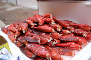 Lobster Love 3) lobster love.