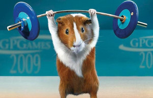 WANTED: 3 ‘guinea-pigs’ to train with me and get in AWESOME shape ...