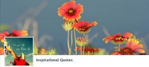 Sharing Caring Please Share