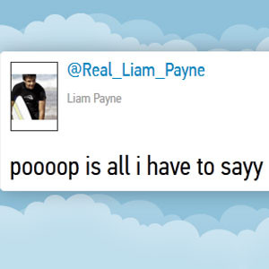 The guys of One Direction sure do tweet some, um, quote-worthy one ...