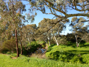 ... Environmeent, Nature, Positive, Quotes - Why Nature Makes Us Happy