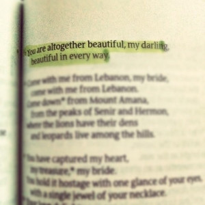 song of solomon 4:7...need this in a baby girl's room.