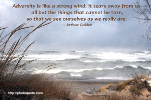 Adversity is Like A Strong Wind It Tears Away From All