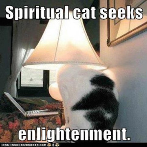 Enlightenment Is A Destructive Process