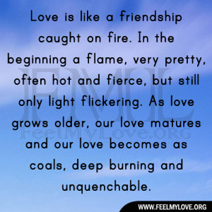 Love is like a friendship caught on fire