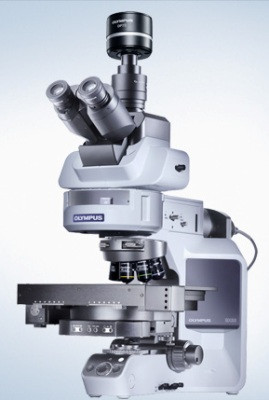 BX53 Motorised Fluorescence Microscope from Olympus