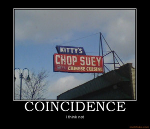 coincidence-funny-cat-chinese-food-chinese-demotivational-poster ...
