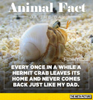 Fun Animal Fact