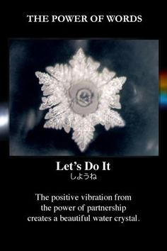 ... Emoto, Orange County, Beautiful, Voice Carrie, Inspiration Quotes