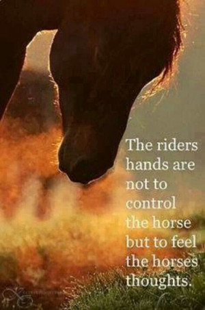 Pinned by Marie Wade