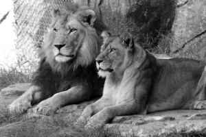 Funny Quotes Contact Dmca...