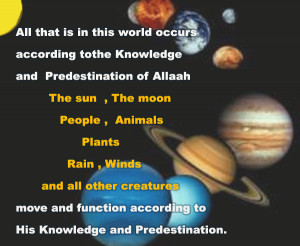 Verily, We have created all things with Qadar (Divine Preordainments ...