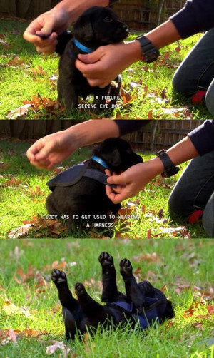 Funny Pictures Of The Day – 77 Pics