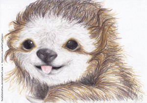 Cheeky Sloth Teufelskatze