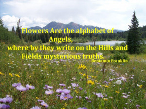 ... By They Write On The Hills And Fields Mysterious Truths - Nature Quote