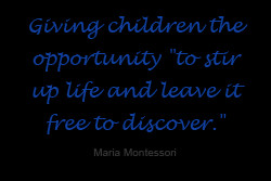 How is a Montessori Preschool different from other Preschools?