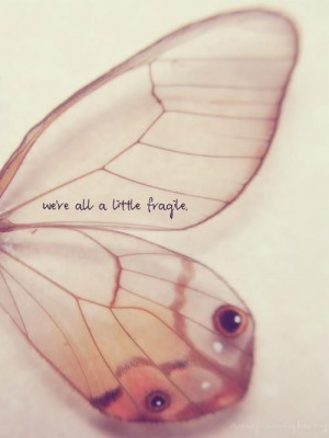 We're all a little fragile.