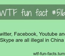 ... , quotes, sexy, skype, summer, tattoo, twitter, wtf fun fact, youtube