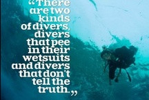 Scuba Quotes / Some of our favorite scuba quotes. Pin away! / by ...