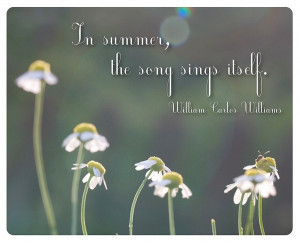 summer-quotes-sayings-nature-famous-song