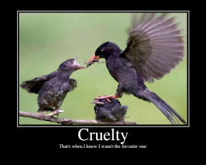 Related Pictures funny quotes about men being jerks