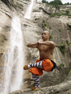 Hollywood Stunt Fighting Meets Shaolin Sanshou: The Ultimate Seminar