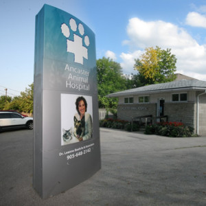 Home » Case Studies » Ancaster Animal Hospital Sign