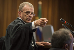 State prosecutor Gerrie Nel gestures as the Oscar Pistorius trial ...