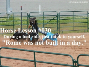 Found on horselessons.tumblr.com