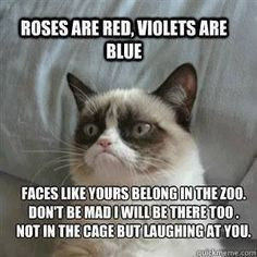 ... Will be There Too. Not In The Cage But Laughing At You. ~ Cat Quotes