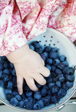 Blueberries For Sal, Sweet, Hands, Country Living, Blueberries Harvest ...