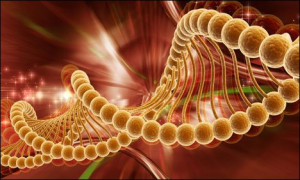 WASHINGTON: Emily Whitehead is kind of a big deal. At age seven, she ...