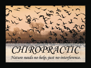 Chiropractic Quotes, Epigrams and Sayings Posters