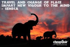... change of place impart new vigour to the mind - Seneca #Quotes More