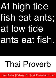 ... eat ants; at low tide ants eat fish. - Thai Proverb #proverbs #quotes