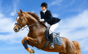 Equestrian, Sports wallpapers