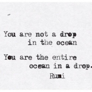 You are not a drop in the ocean, You are the entire ocean in a drop.