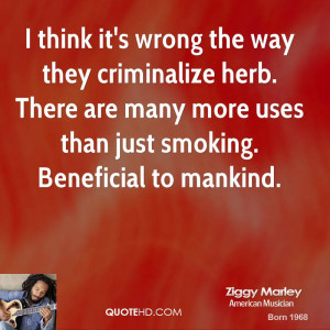 think it's wrong the way they criminalize herb. There are many more ...
