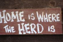 Saddlebred: American Saddlebred mare Capitola's Tiffany Diamond, owned ...