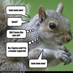 Even Squirrels Quote Eddie Izzard
