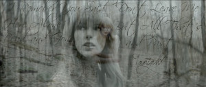 Taylor Swift Safe and Sound quote